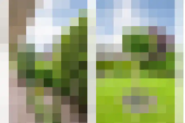Lek 5 Hoogeveen thumbnail 42