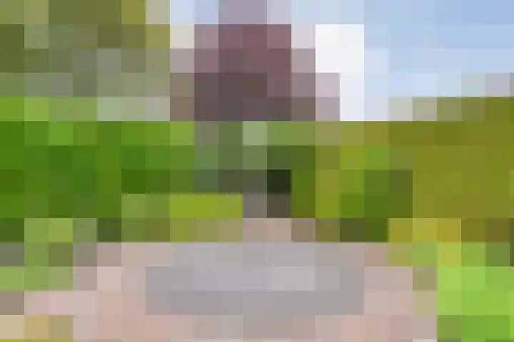 Lek 5 Hoogeveen thumbnail 43