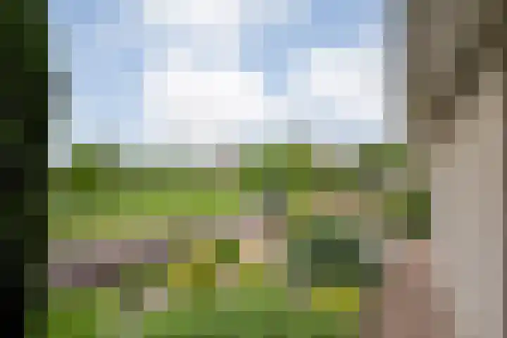 Lek 5 Hoogeveen thumbnail 44