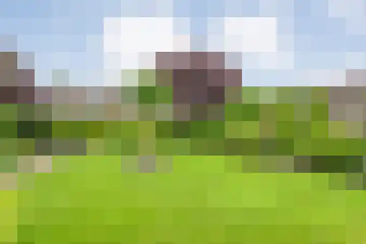 Lek 5 Hoogeveen thumbnail 5