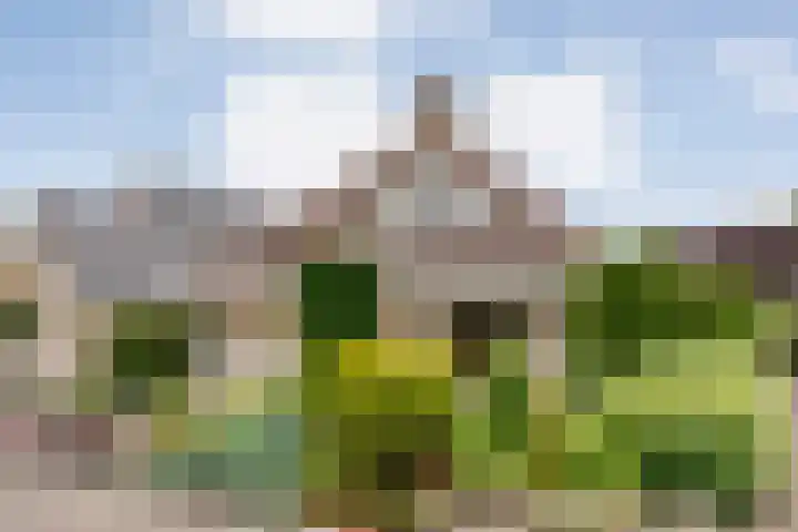 Lek 5 Hoogeveen thumbnail 7