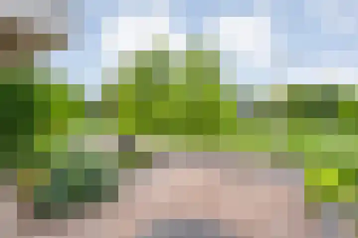 Lek 5 Hoogeveen thumbnail 8