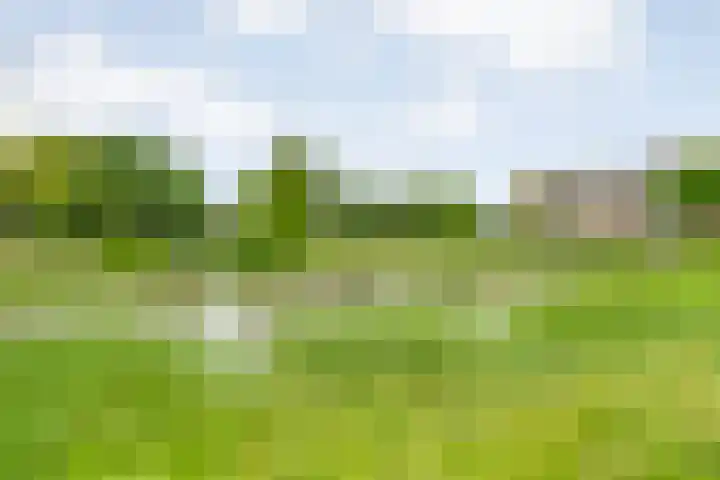 Lek 5 Hoogeveen thumbnail 9