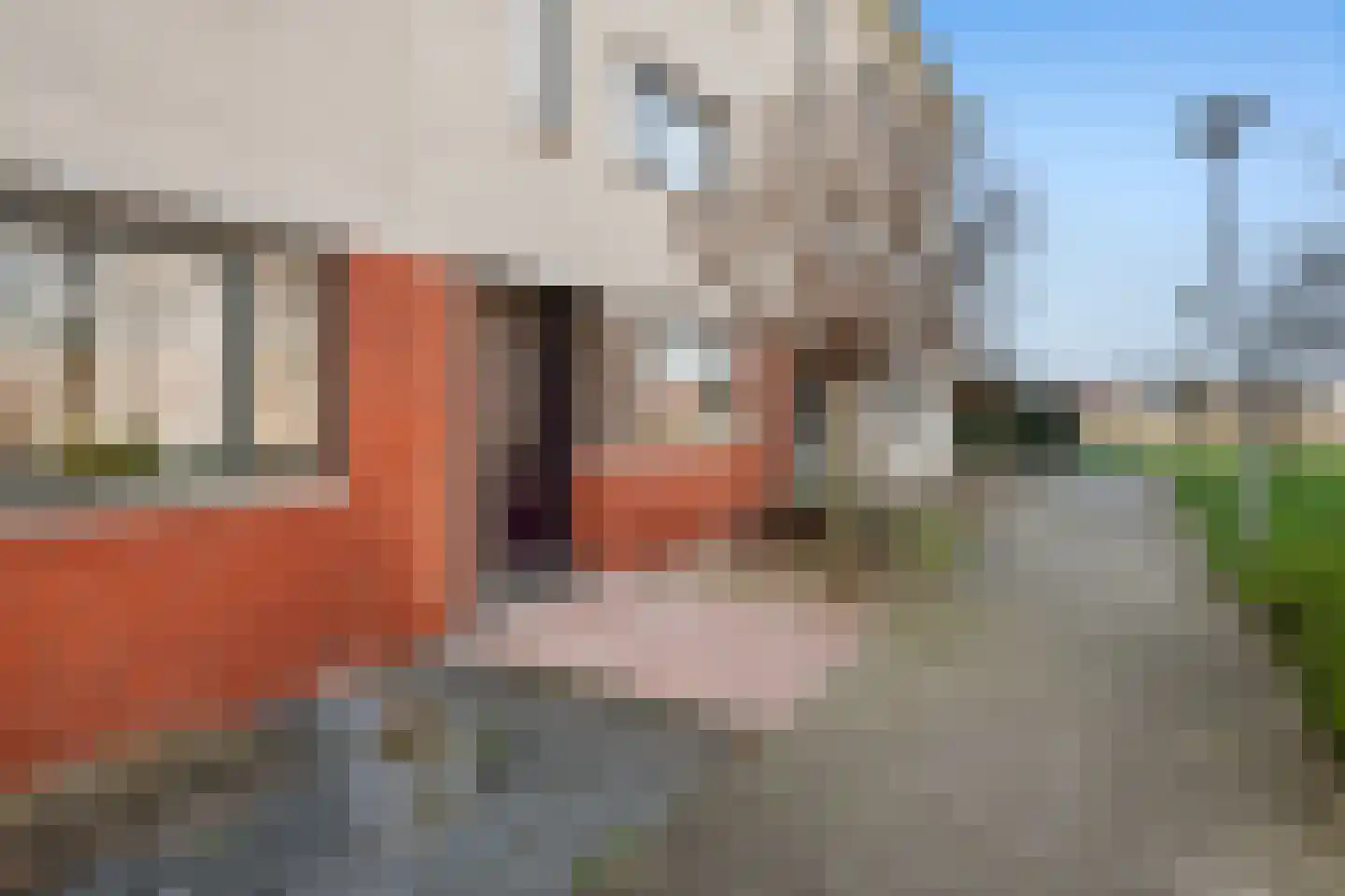 Lek 66 Nieuwerkerk aan den IJssel thumbnail 4