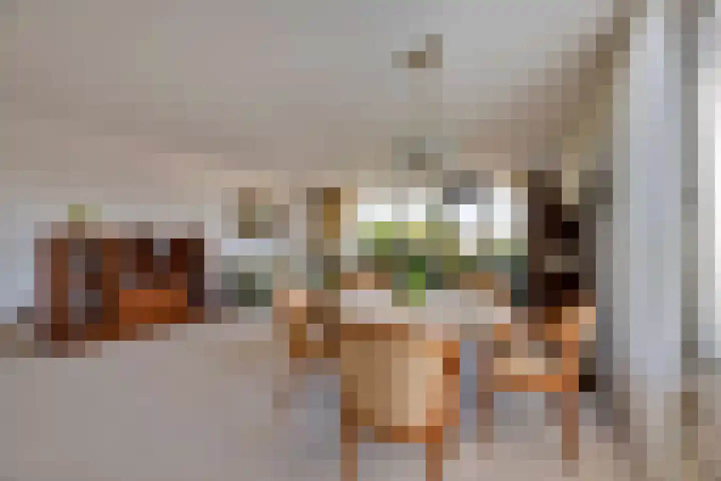 Lek 8 Nieuwerkerk aan den IJssel thumbnail 11