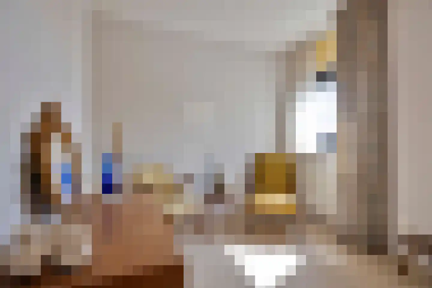 Lek 8 Nieuwerkerk aan den IJssel thumbnail 28