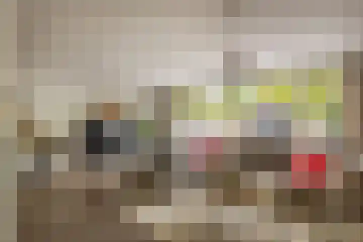 Lek 9 Nieuwerkerk aan den IJssel thumbnail 11