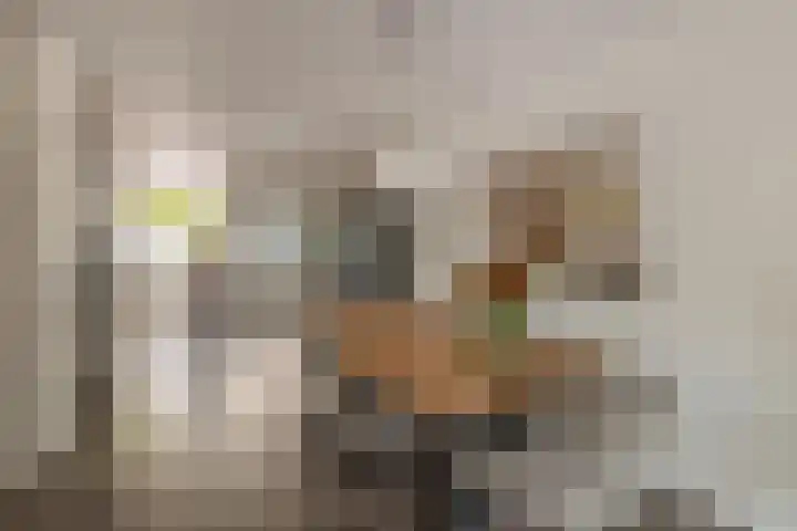 Lek 9 Nieuwerkerk aan den IJssel thumbnail 14