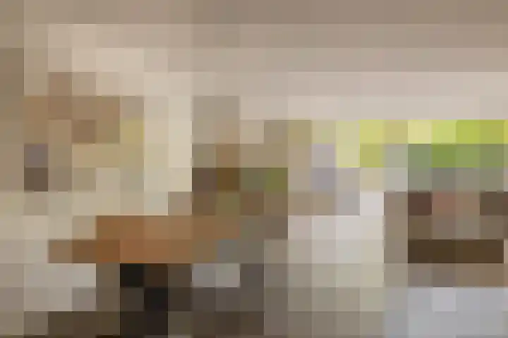 Lek 9 Nieuwerkerk aan den IJssel thumbnail 15