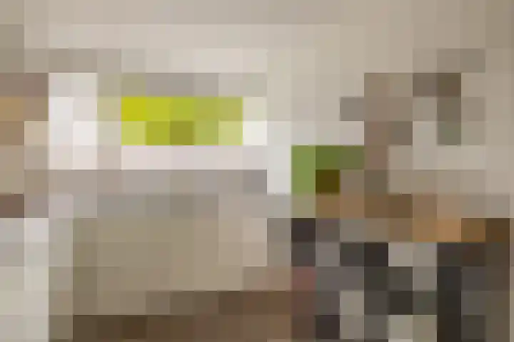 Lek 9 Nieuwerkerk aan den IJssel thumbnail 16