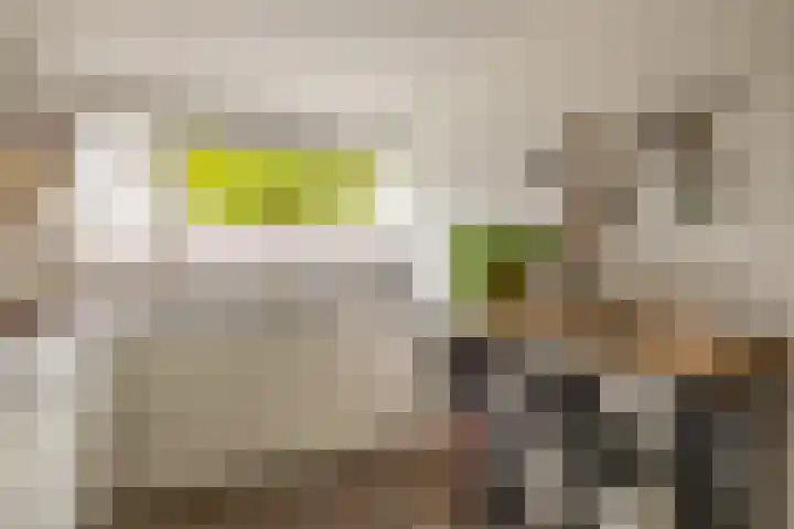 Lek 9 Nieuwerkerk aan den IJssel thumbnail 17