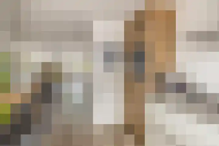 Lek 9 Nieuwerkerk aan den IJssel thumbnail 18