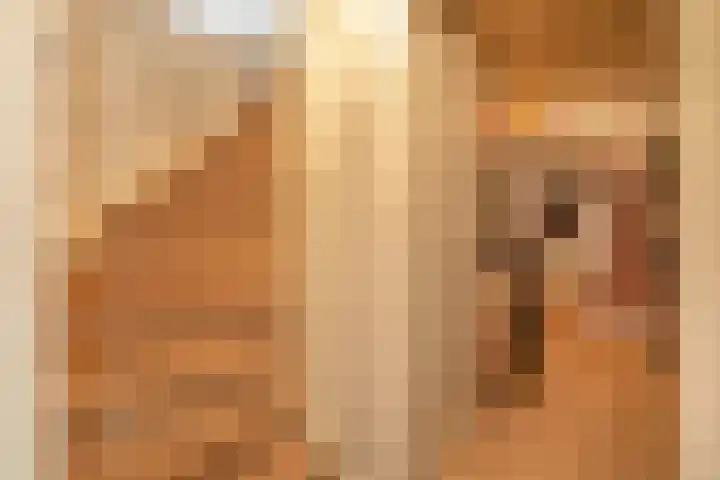 Lek 9 Nieuwerkerk aan den IJssel thumbnail 20