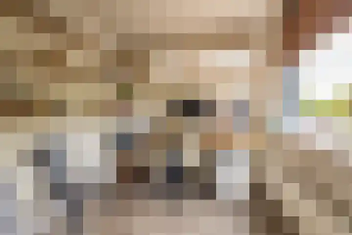 Lek 9 Nieuwerkerk aan den IJssel thumbnail 27