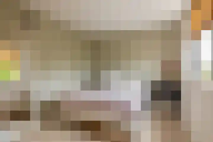 Lek 9 Nieuwerkerk aan den IJssel thumbnail 30