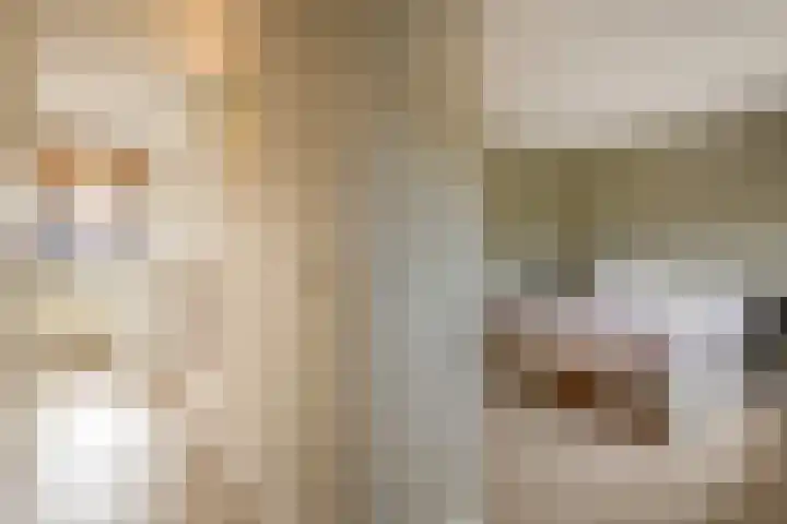Lek 9 Nieuwerkerk aan den IJssel thumbnail 31
