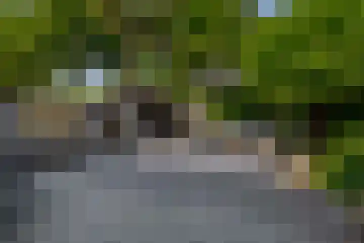 Lek 9 Nieuwerkerk aan den IJssel thumbnail 4