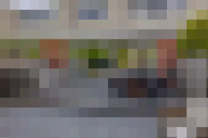 Lek 9 Nieuwerkerk aan den IJssel thumbnail 41