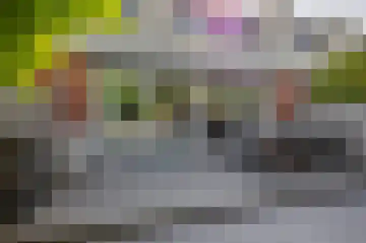 Lek 9 Nieuwerkerk aan den IJssel thumbnail 42