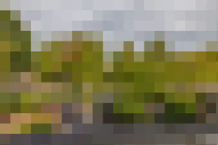 Lek 9 Nieuwerkerk aan den IJssel thumbnail 61