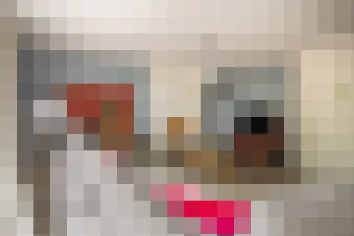 Lek 9 Nieuwerkerk aan den IJssel thumbnail 8