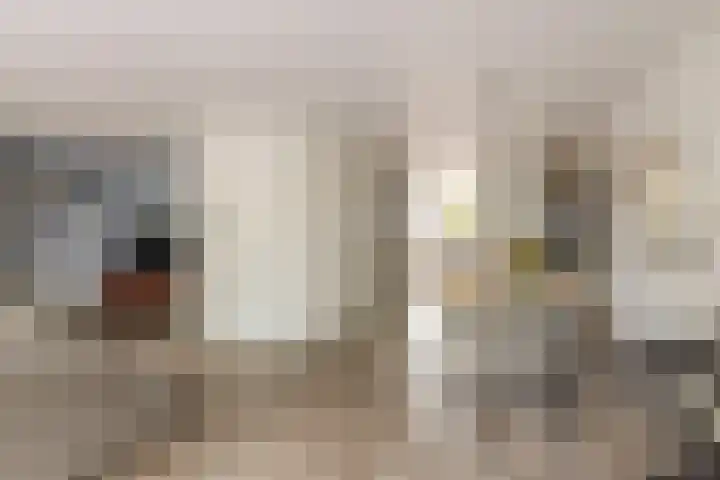 Lek 9 Nieuwerkerk aan den IJssel thumbnail 9