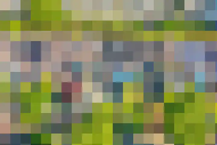 Lekboulevard 11 Nieuwegein thumbnail 54