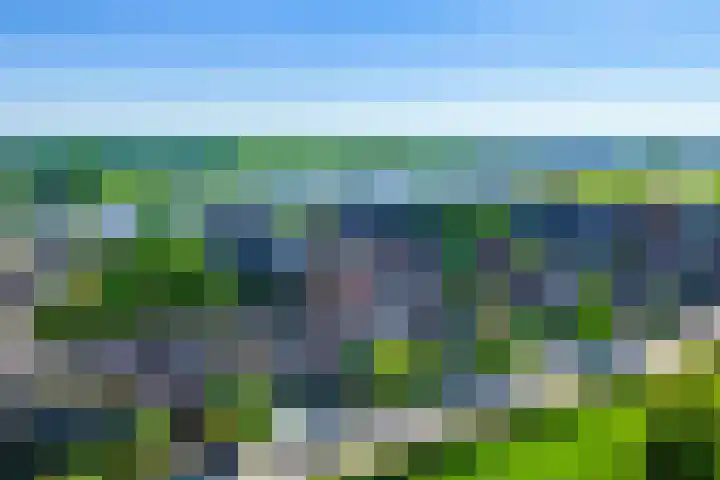Lekboulevard 11 Nieuwegein thumbnail 57