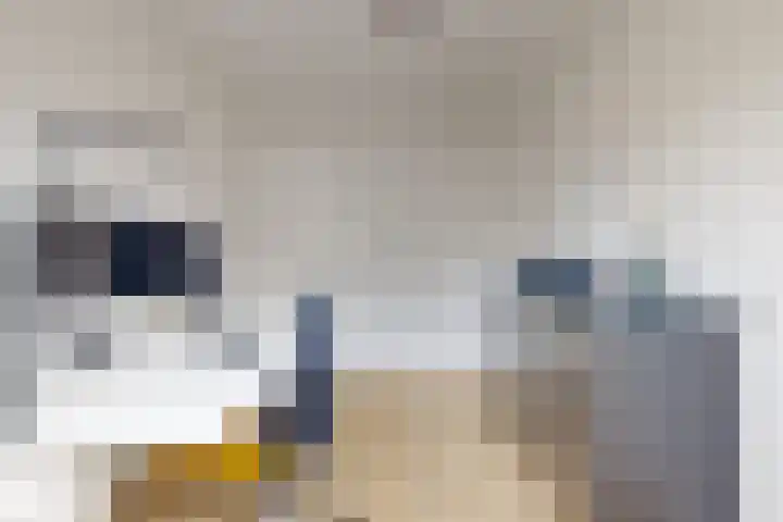 Lekboulevard 3 Nieuwegein thumbnail 32