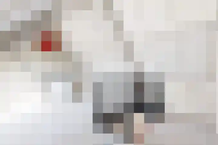 Lekboulevard 3 Nieuwegein thumbnail 33