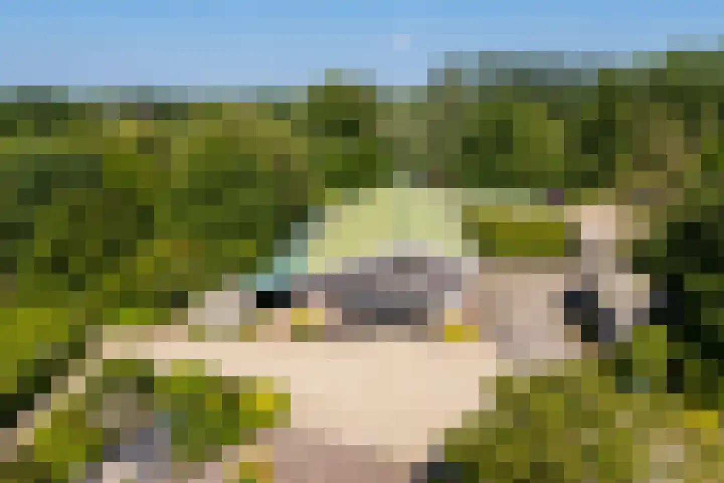 Lekdijk 10 Schalkwijk thumbnail 25