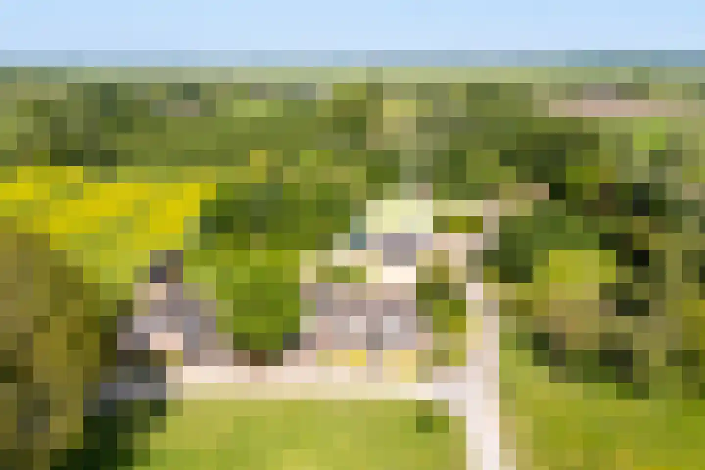 Lekdijk 10 Schalkwijk thumbnail 4