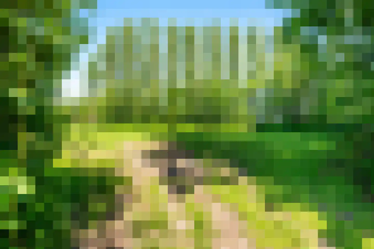 Lekdijk 10 Schalkwijk thumbnail 40