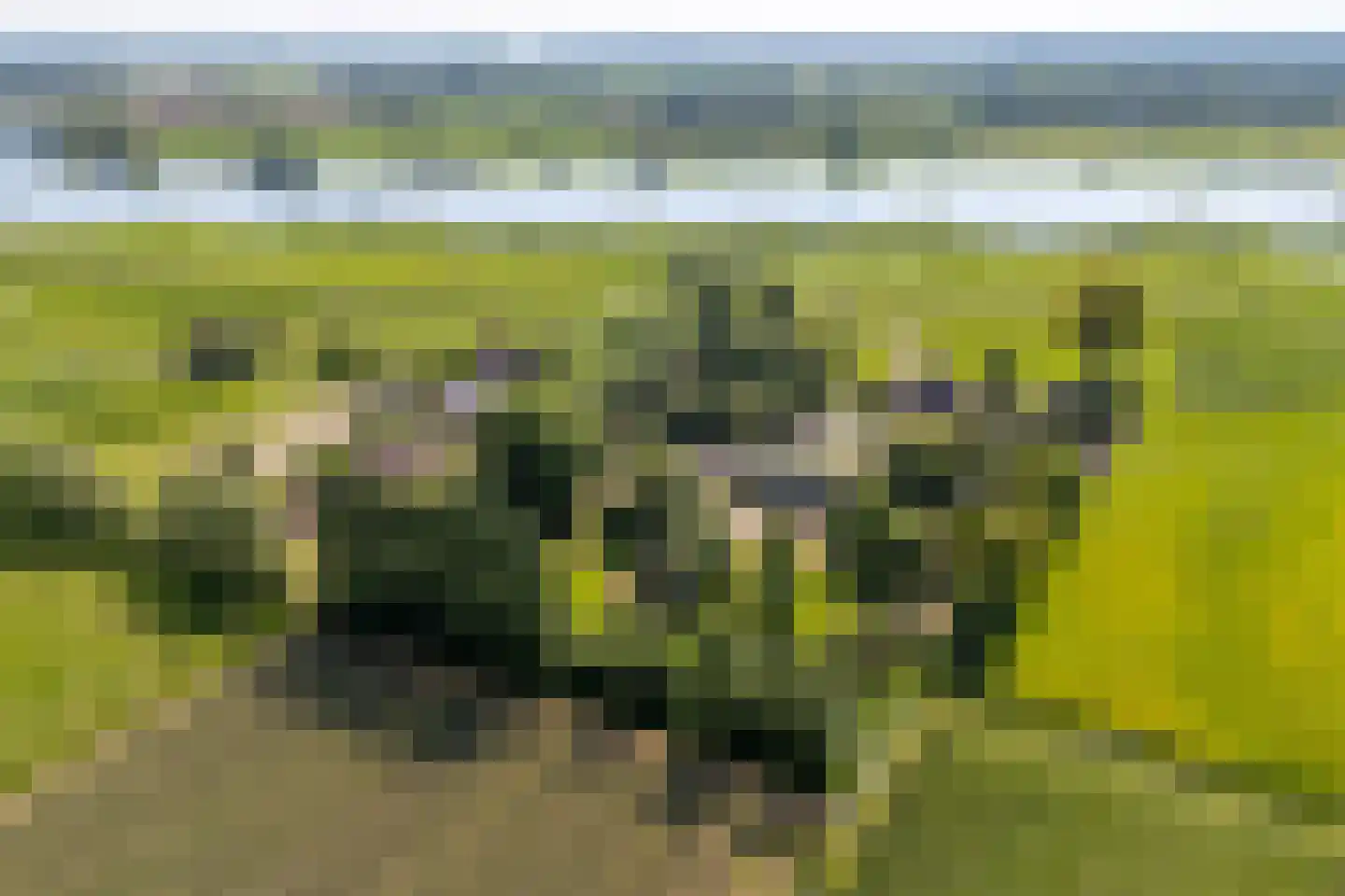 Lekdijk 10 Schalkwijk thumbnail 5