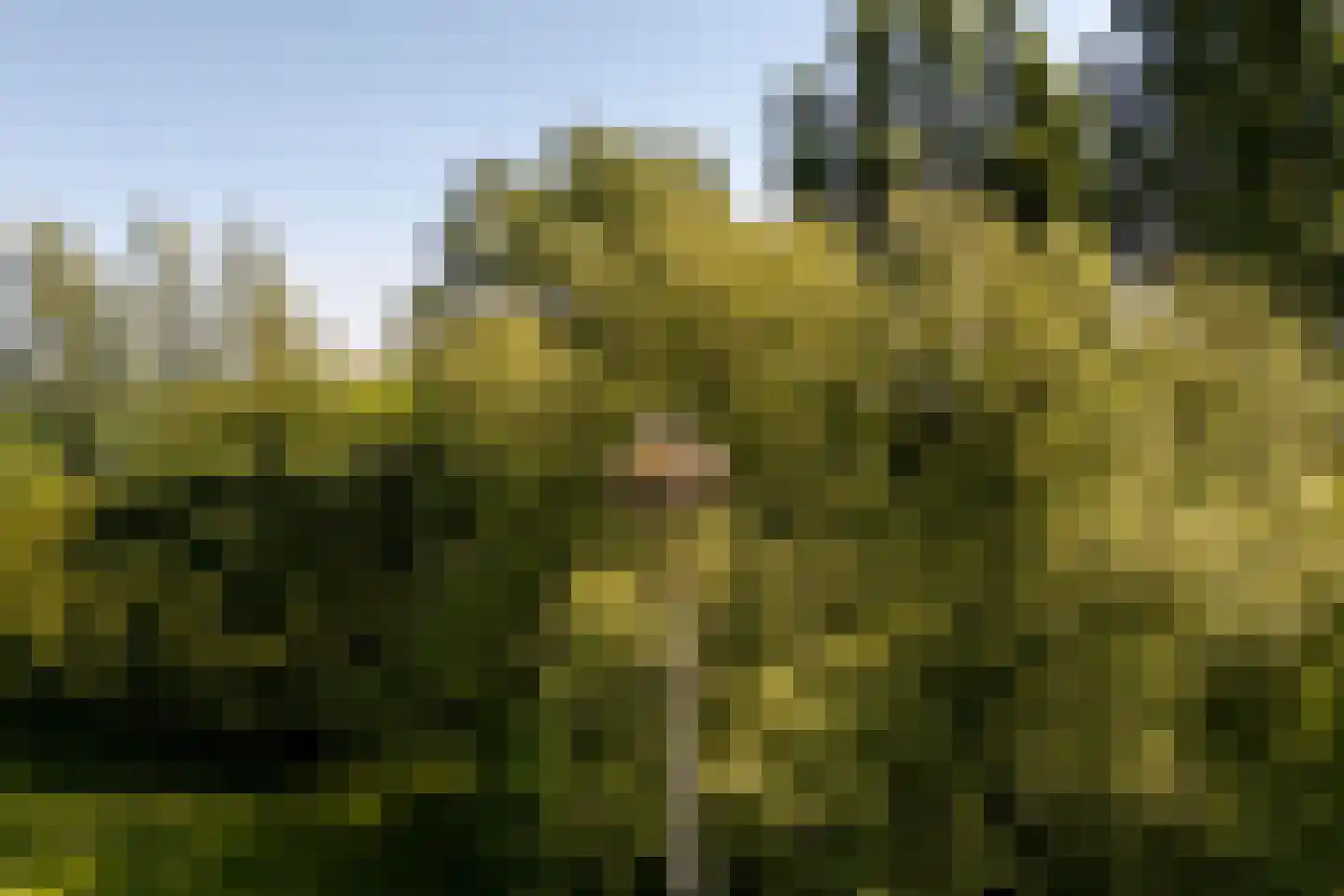 Lekdijk 10 Schalkwijk thumbnail 51
