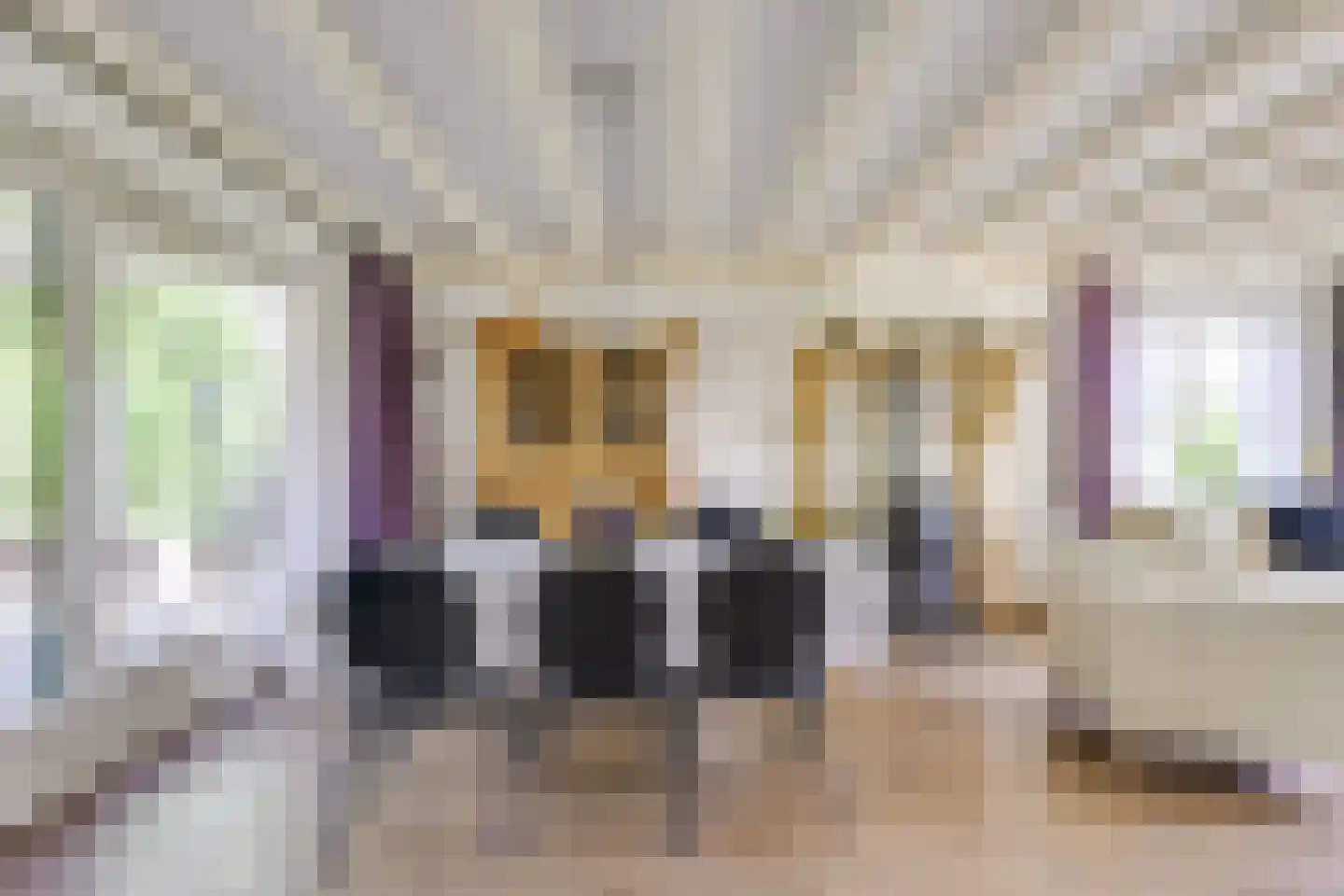 Lekdijk 10 Schalkwijk thumbnail 8