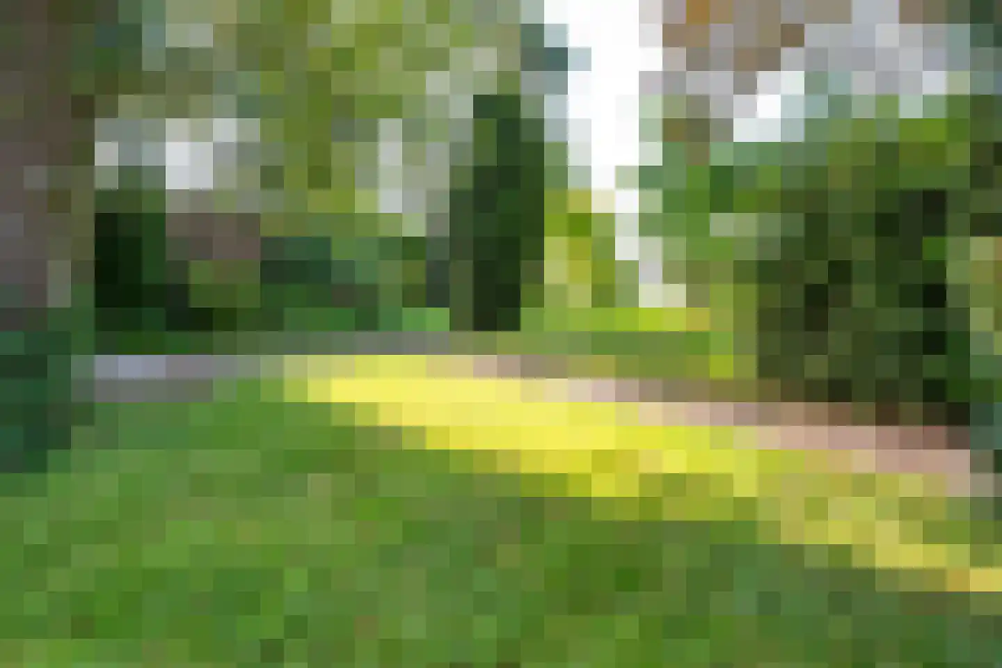 Lekdijk 11 Hagestein thumbnail 39