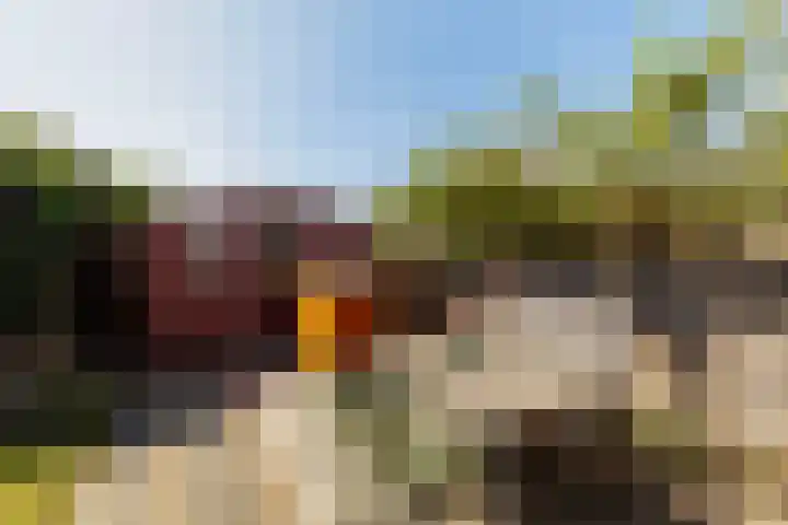 Lekdijk 113 Nieuw-Lekkerland thumbnail 25