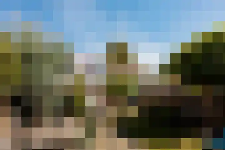 Lekdijk 113 Nieuw-Lekkerland thumbnail 26