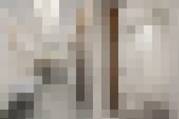 Lekdijk 12 Everdingen thumbnail 11