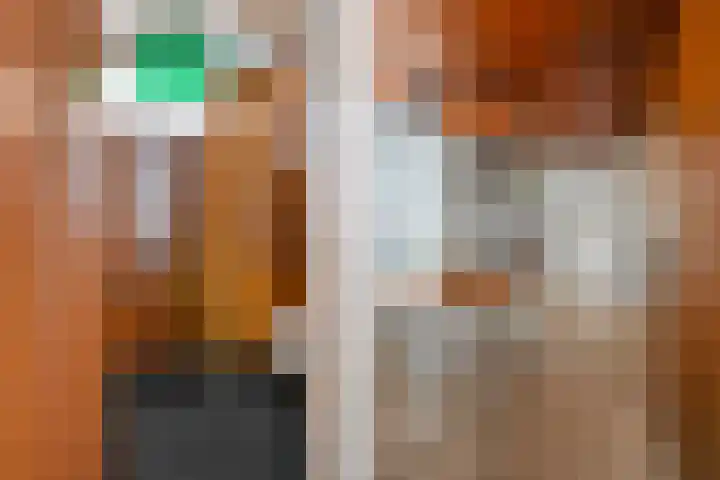 Lekdijk 12 Everdingen thumbnail 18