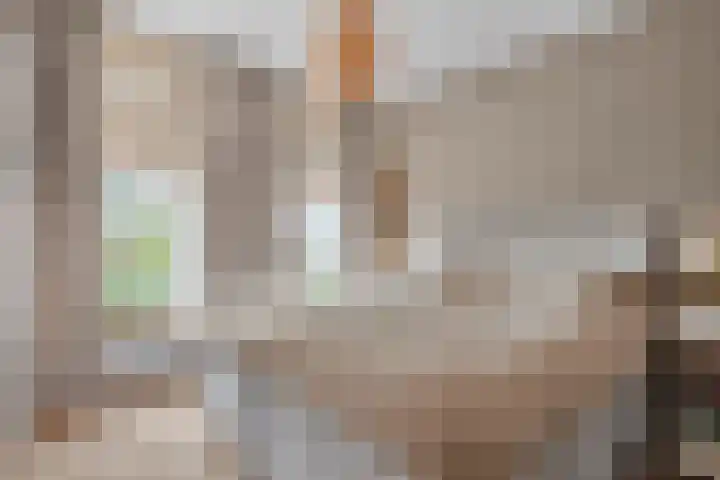 Lekdijk 12 Everdingen thumbnail 20