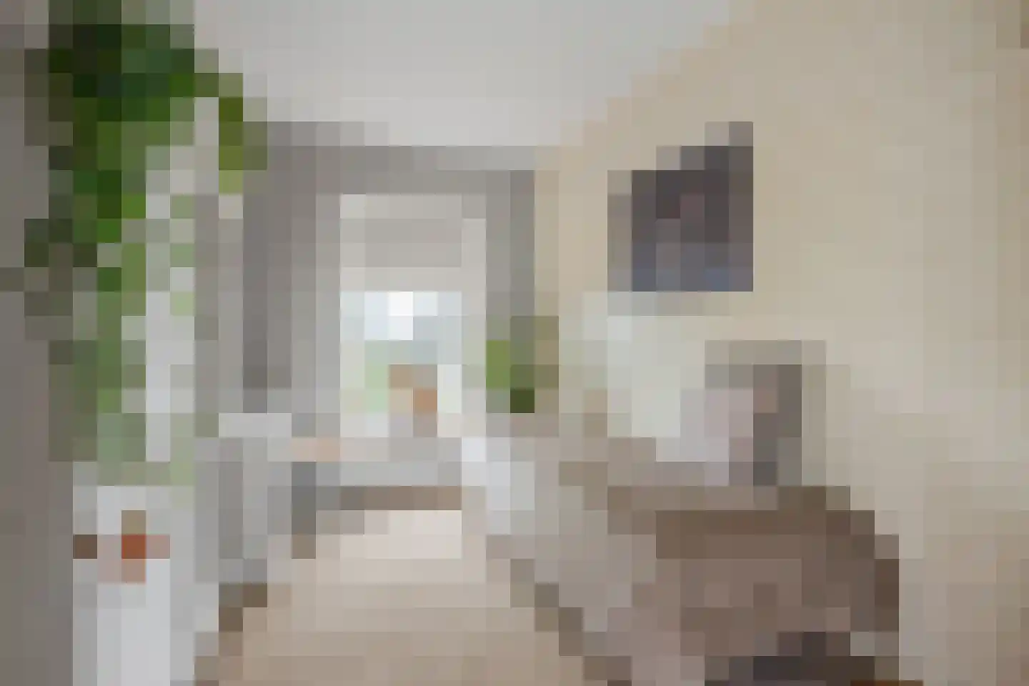 Lekdijk 12 Everdingen thumbnail 23