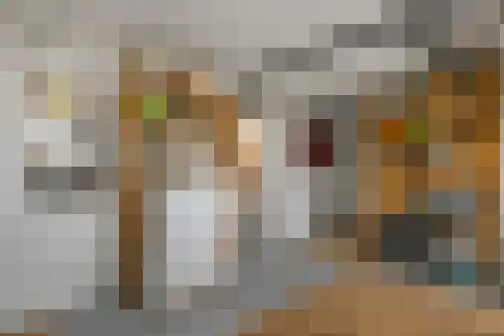 Lekdijk 12 Everdingen thumbnail 26