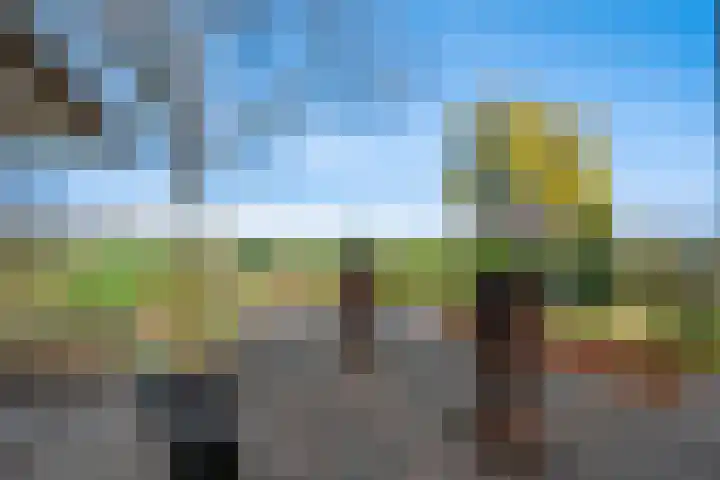 Lekdijk 12 Everdingen thumbnail 32