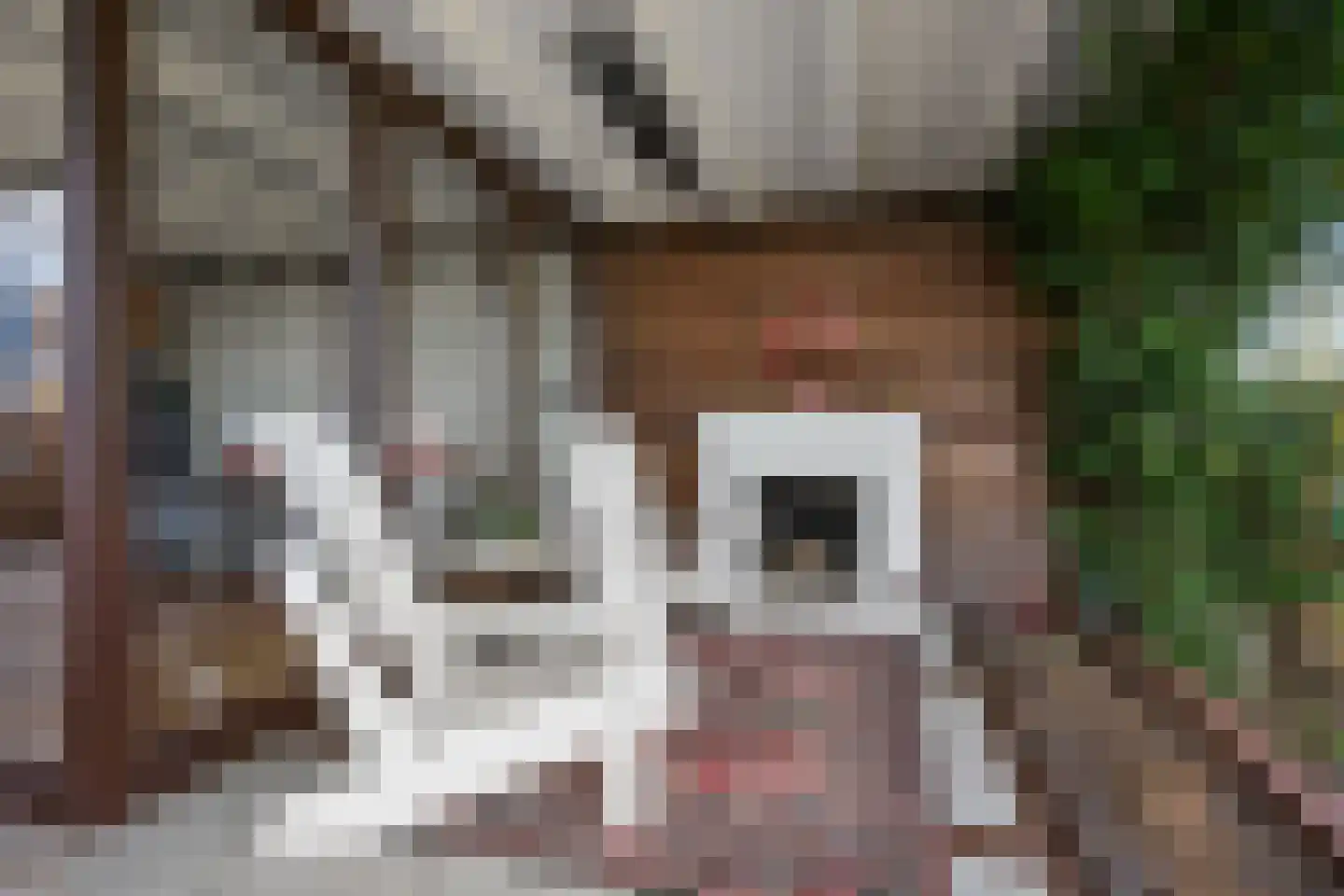 Lekdijk 12 Everdingen thumbnail 35