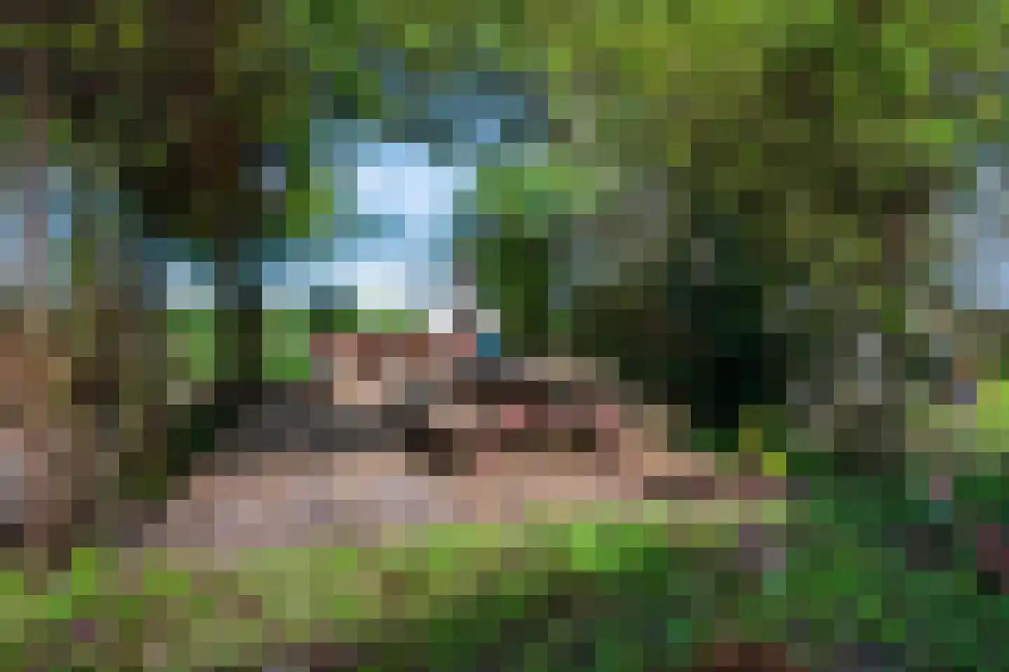 Lekdijk 12 Everdingen thumbnail 38