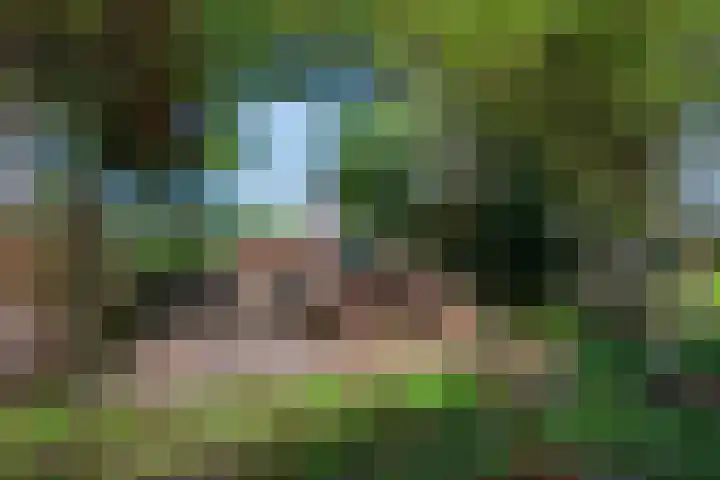 Lekdijk 12 Everdingen thumbnail 38