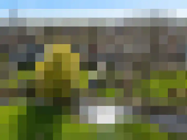 Lekdijk 12 Everdingen thumbnail 46