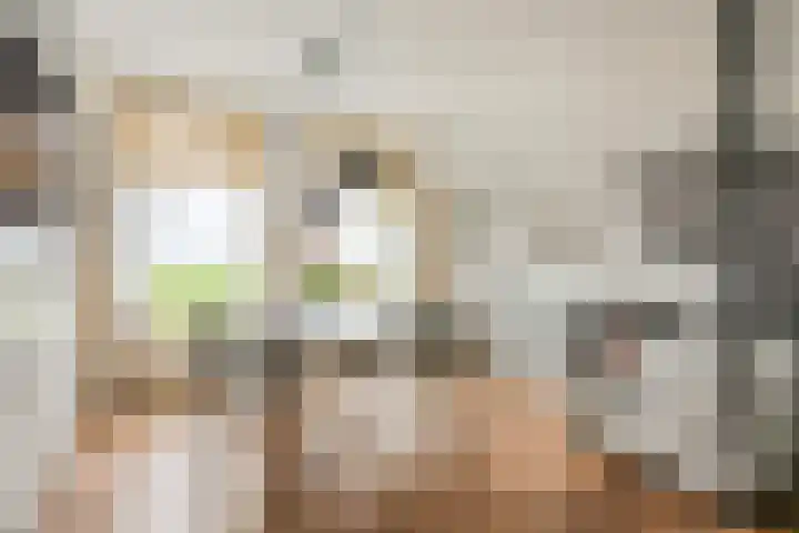 Lekdijk 12 Everdingen thumbnail 5
